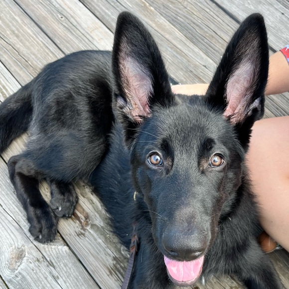 👉PLEASE LIKE AND SHARE NEW GAME! 😊🥰🎉 - Picture 9 of 16